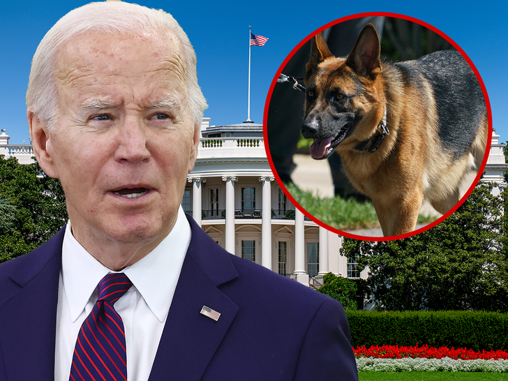 President Biden’s Dog Commander Bit Secret Service Agents On 24 Occasions