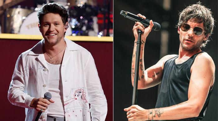 ‘1D Reunion’: Niall Horan, Louis Tomlinson headlining Lollapalooza Berlin 2024