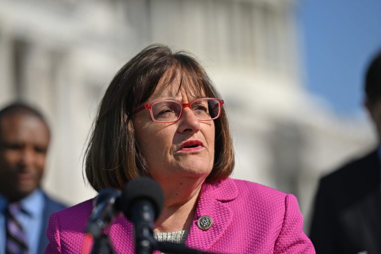 Democratic Rep. Annie Kuster says she won’t seek re-election in N.H. swing district