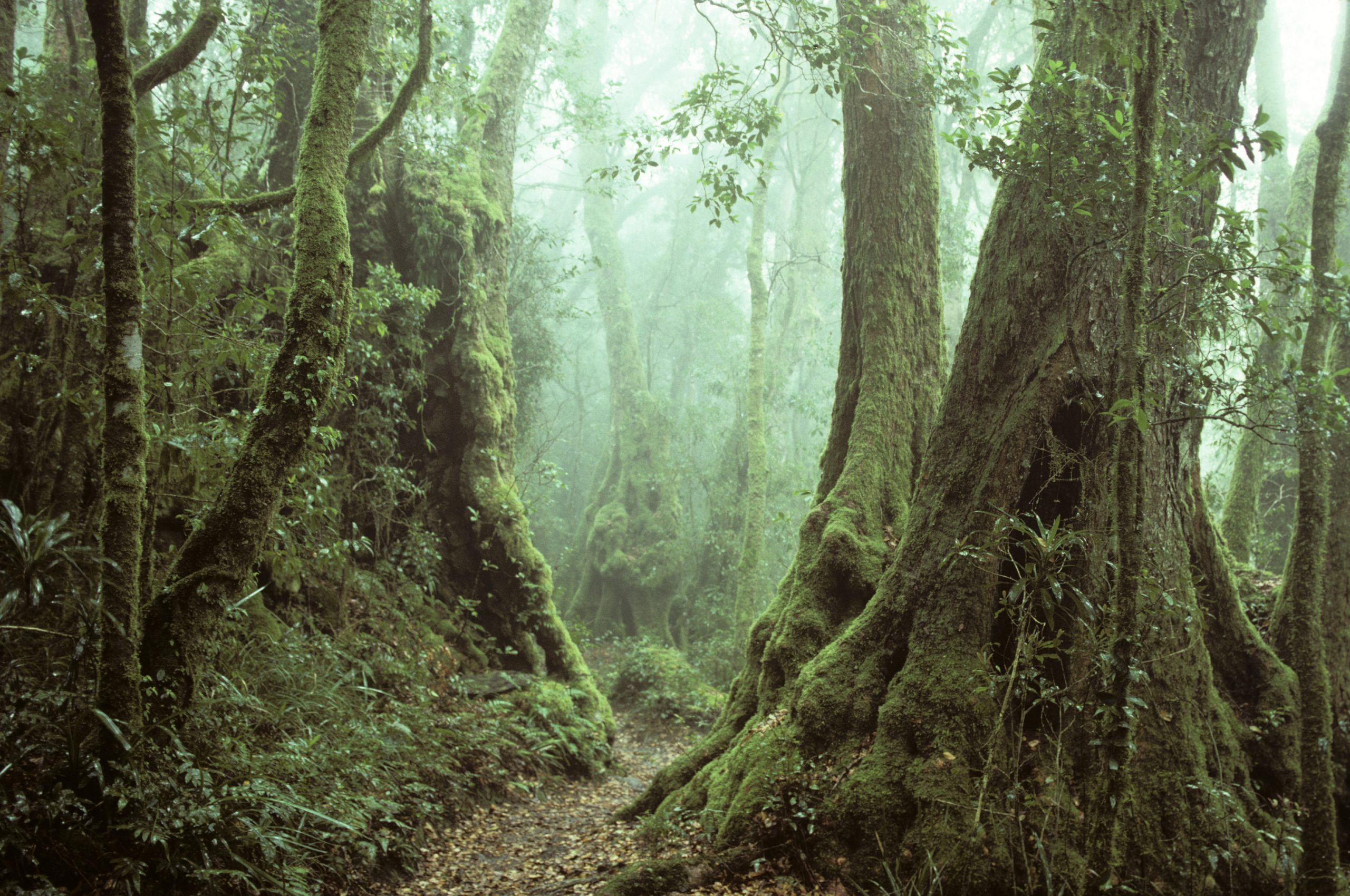 Hiker plunges 45ft to her death after trying to retrieve camera gear that had fallen into waterfall