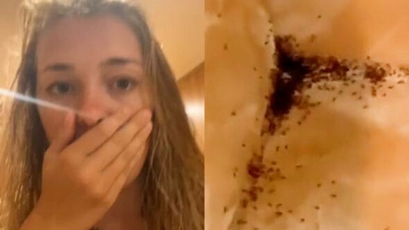 Horrifying moment ants swarm out of shower head across bathroom