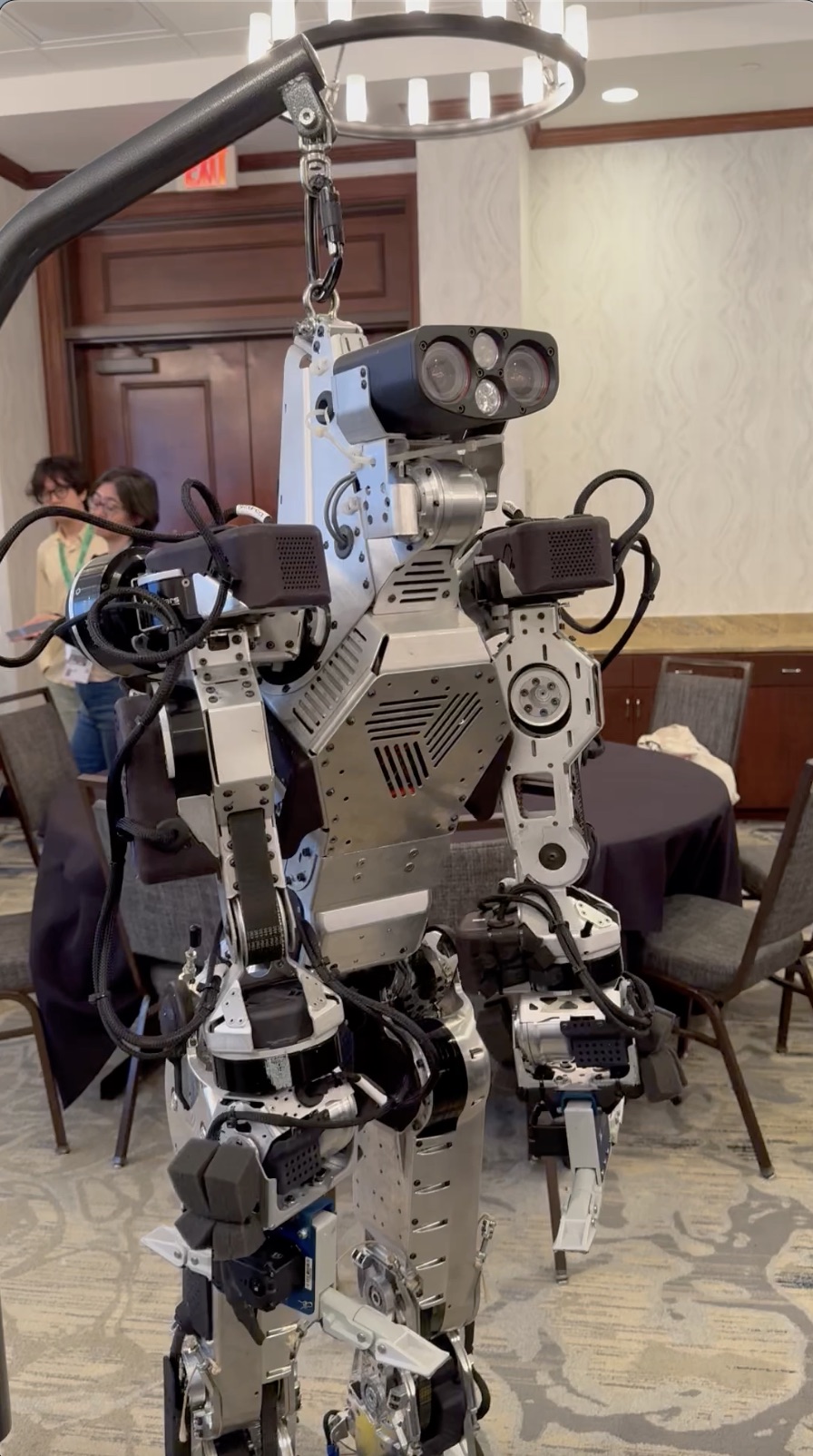 Humanoid robots will ‘replace declining human populations’ all over the world and ‘act as caregivers for the elderly’