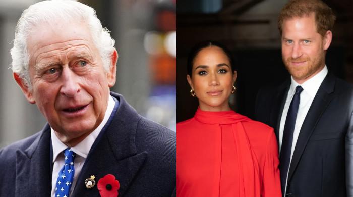 King Charles may approach Harry, Meghan to work as ‘part-time’ royals