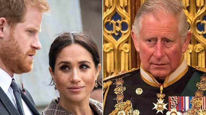 Meghan Markle, Prince Harry offer services to King Charles after Kate’s statement