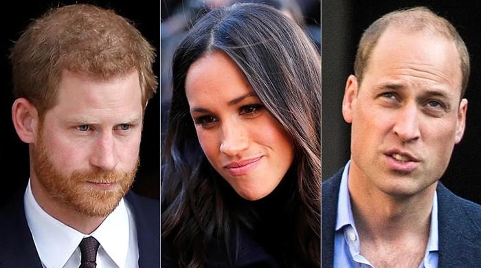 Mystery surrounds Prince William’s aide’s role in Meghan Markle, Prince Harry’s exit