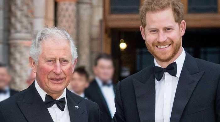 Prince Harry receives new ‘title’ ahead of meeting with King Charles