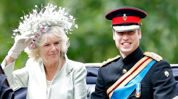 Prince William ‘appreciates’ Camilla for ‘stepping up’ in King Charles’ absence