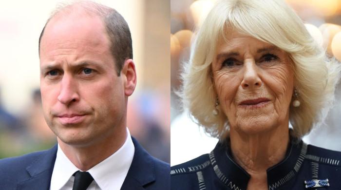 Prince William awaits big challenges as Queen Camilla halts royal duties