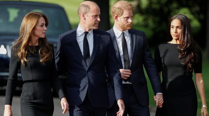 Prince William mulls over Prince Harry’s ‘offer’ amid Kate’s cancer battle