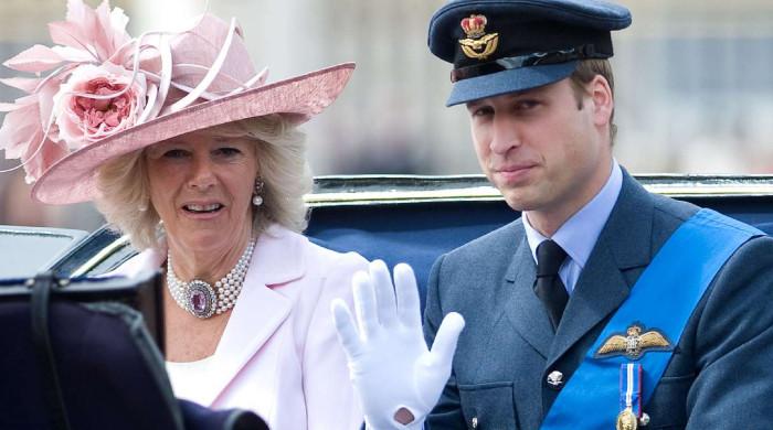 Prince William, Queen Camilla send stern message to royal family’s critics