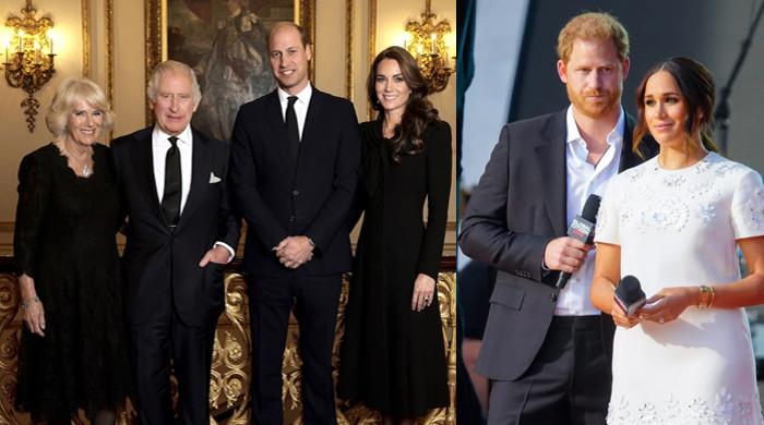 Royal family united against Prince Harry, Meghan Markle ‘attacks’
