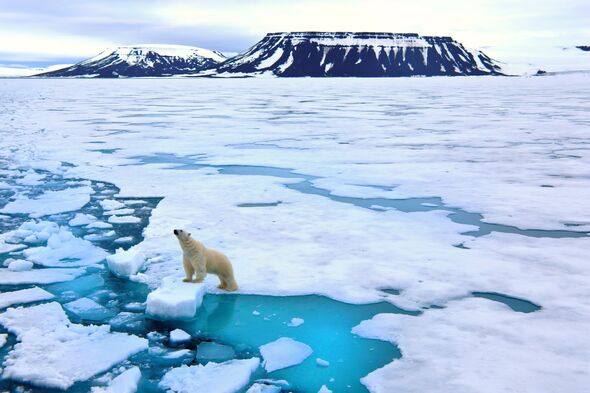 Scientists issue urgent warning as Arctic could be ‘ice-free’ within the next 10 years