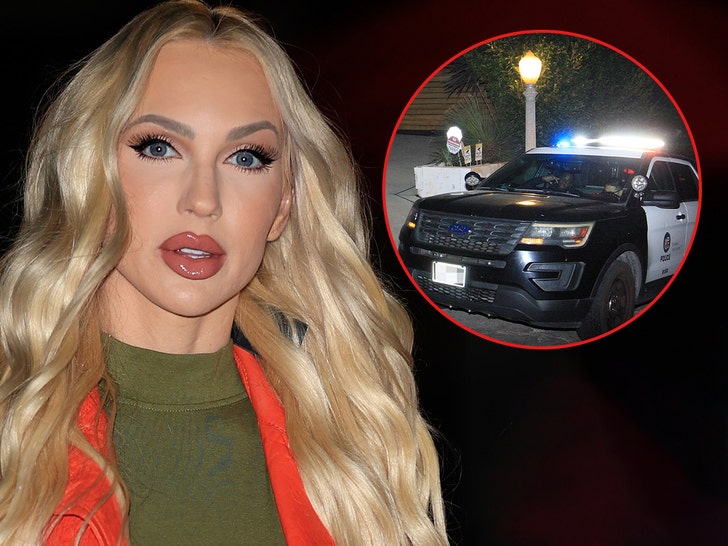 ‘Selling Sunset’ Star Christine Quinn’s Husband Arrested Again After DV Bust