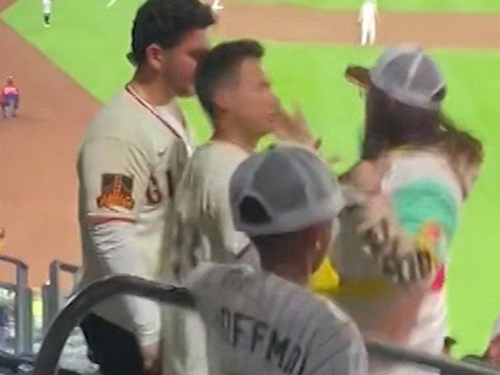 SF Giants and SD Padres Fans Get Into Nasty Fight During Game, Video