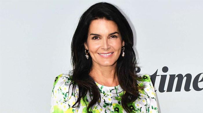 Angie Harmon devastated after family dog slain in shooting incident