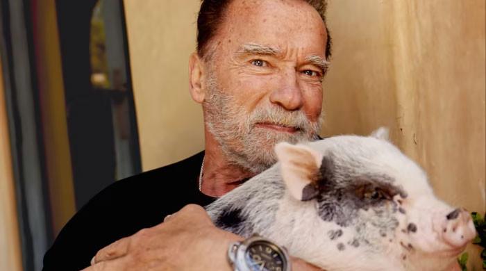 Arnold Schwarzenegger recruits pet pig for fitness challenge