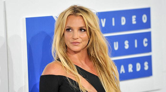 Britney Spears’ fans claim ‘Toxic’ tells ‘poisonous’ tale about THIS TV star