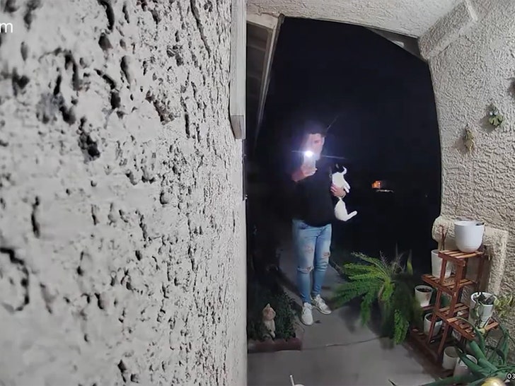 DoorDash Driver Caught on Video Apparently Stealing Cat During Delivery