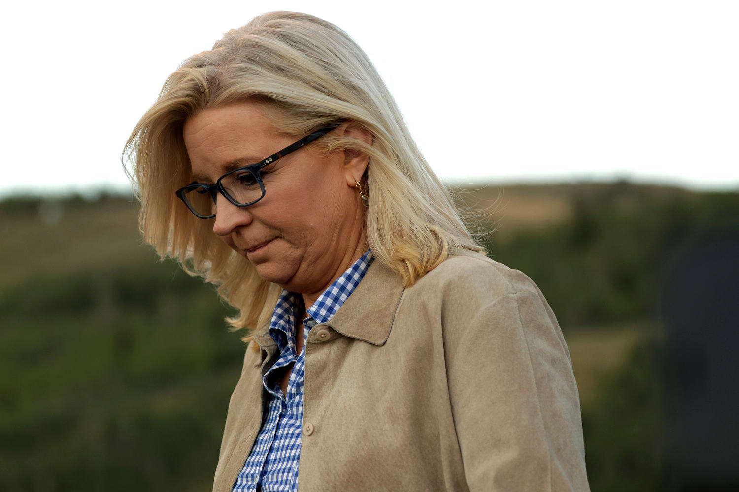 Ex-Ford foundation member calls Liz Cheney ‘only person on this planet’ worthy of top award after snub he says was over Trump