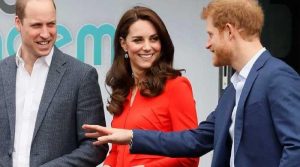 Kate Middleton, Prince Harry fiercely defended in live show