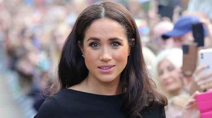 Meghan Markle’s pal gives befitting response to people targeting Duchess