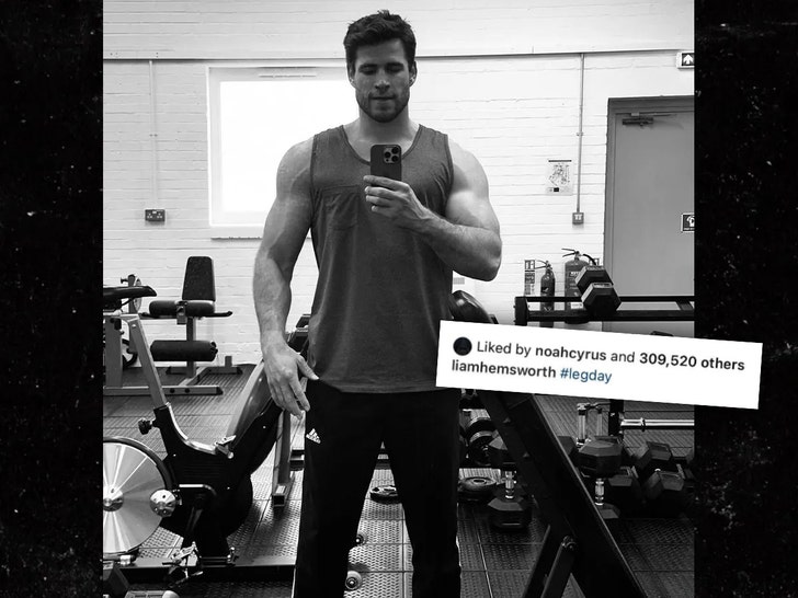 Noah Cyrus Likes Thirst Trap Pic of Miley Cyrus’ Ex, Liam Hemsworth