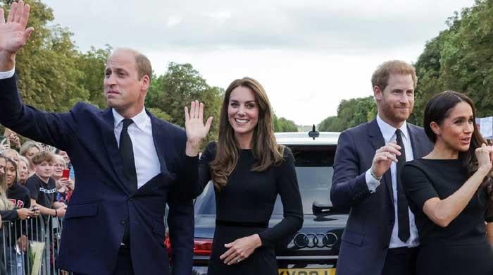 Prince Harry has no place in royal showcase