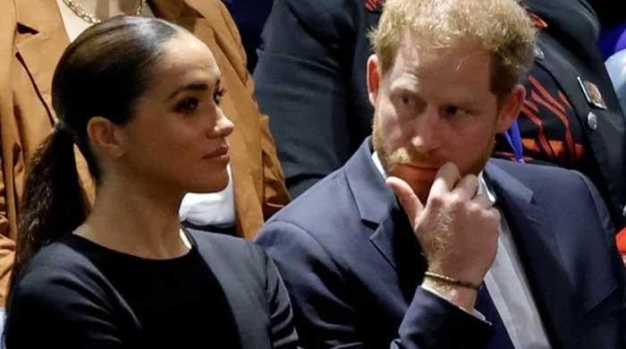 Prince Harry, Meghan Markle ‘punished’ for ‘misusing’ royal titles