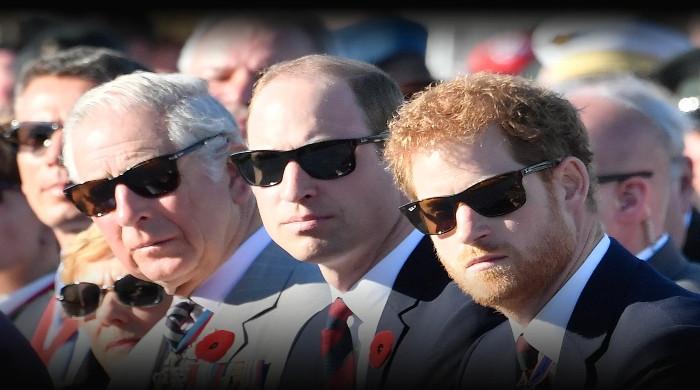 Prince Harry, Prince William to meet with support of King Charles