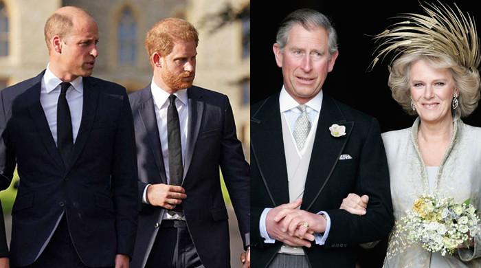 Prince Harry, Prince William ‘united’ over heartbreak at Charles, Camilla wedding