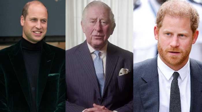 Prince Harry rubs salt into wound of royals with surprising decision