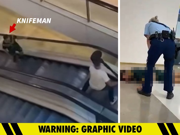 Sydney Mall Stabbing Rampage Caught On Video, 6 Murdered, Multiple Injured