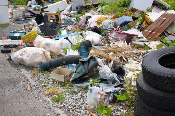 Taxpayers spending millions of pounds each year to clean blighted communities, MP warns