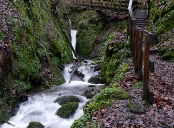 Tragedy at UK beauty spot as man dies with two women pulled from water