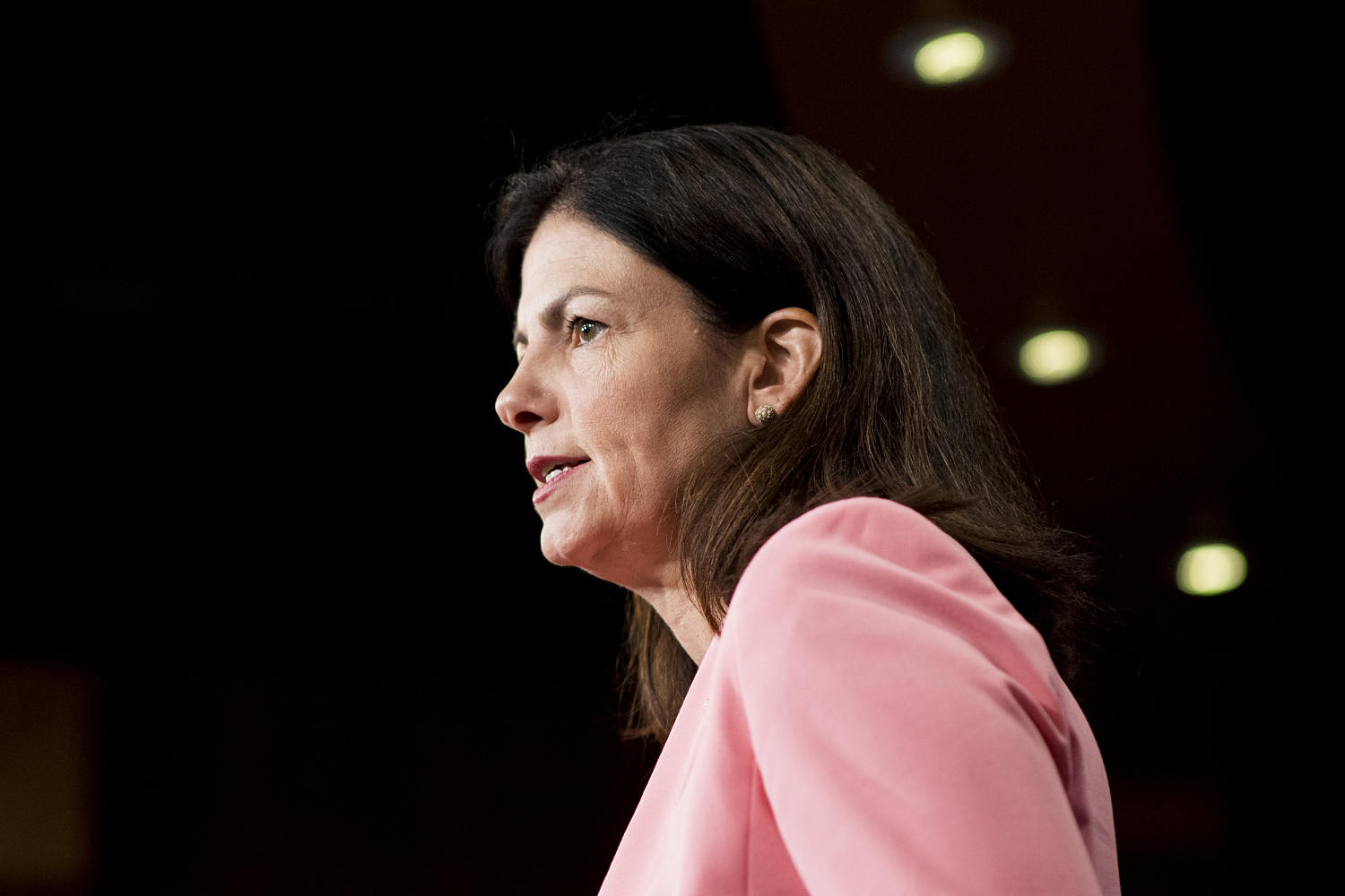 A rising Republican lost her seat in the Trump era. Now she’s trying a comeback.