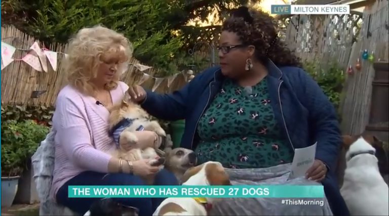 Alison Hammond was ‘scared’ of disabled dogs during interview, claims rescuer after backlash against host