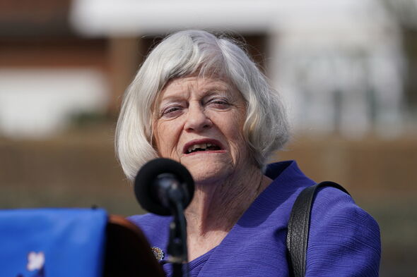 Ann Widdecombe lashes out against early release of prisoners: ‘It’s an incentive to crime’