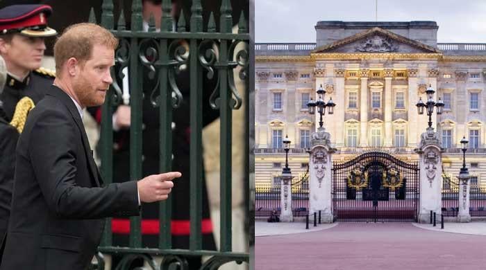 Buckingham Palace reacts to Prince Harry’s UK return with delightful announcement