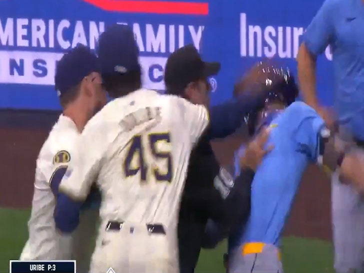 Four Suspended For Roles In Wild Brewers Vs. Rays Brawl