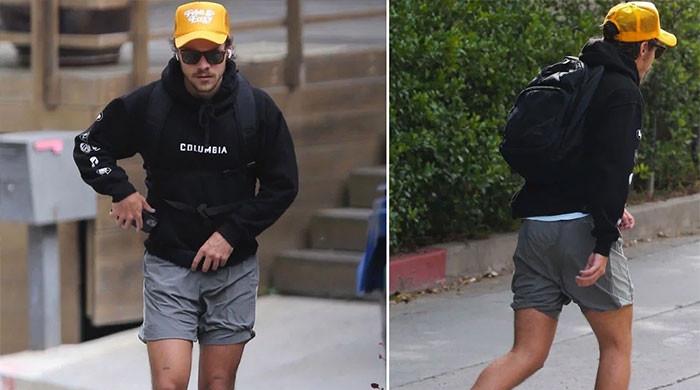 Harry Styles in Rome: Post-breakup bliss with friends amid Taylor Russell split