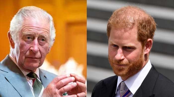 King Charles delivers ‘flea in the ear’ to Prince Harry