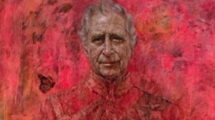 King Charles new portrait shows ‘transition and uncertainty’