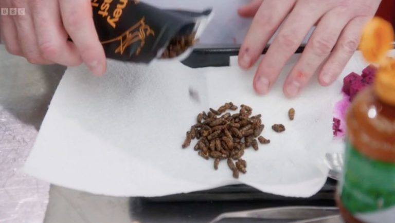 MasterChef viewers disgusted as contestant serves dead INSECTS in battle to the final