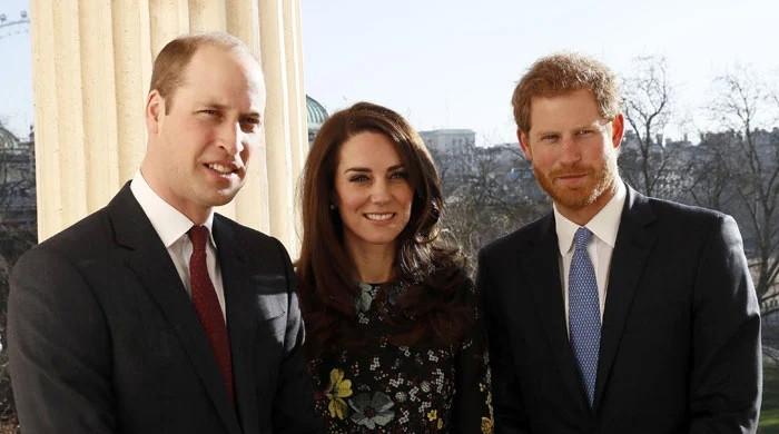 Prince Harry supports Kate Middleton’s remarks about Prince William