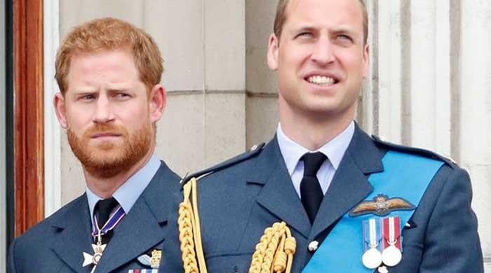 Prince William, Harry’s ‘regrettable’ feud takes shine off royal events