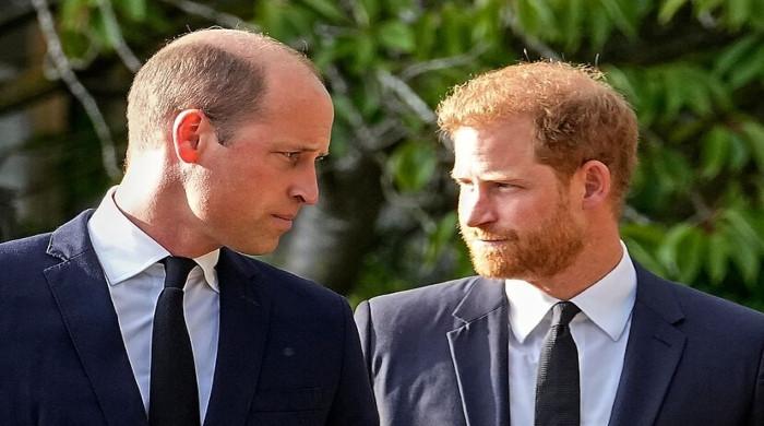 Prince William turns too rude for Prince Harry: ‘damaged generation’