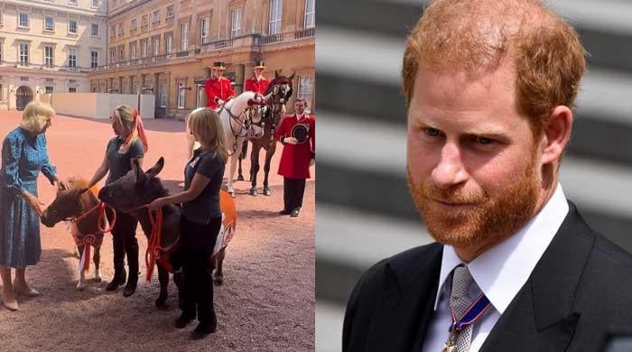 Queen Camilla welcomes special guests to Buckingham Palace after snubbing Harry