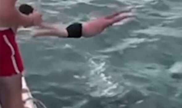 ‘Reckless’ swimmer slapped with hefty fine after trying to ‘body slam’ killer whales