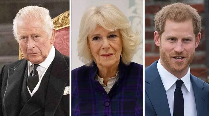 Why would Queen Camilla not let Prince Harry visit King Charles alone?