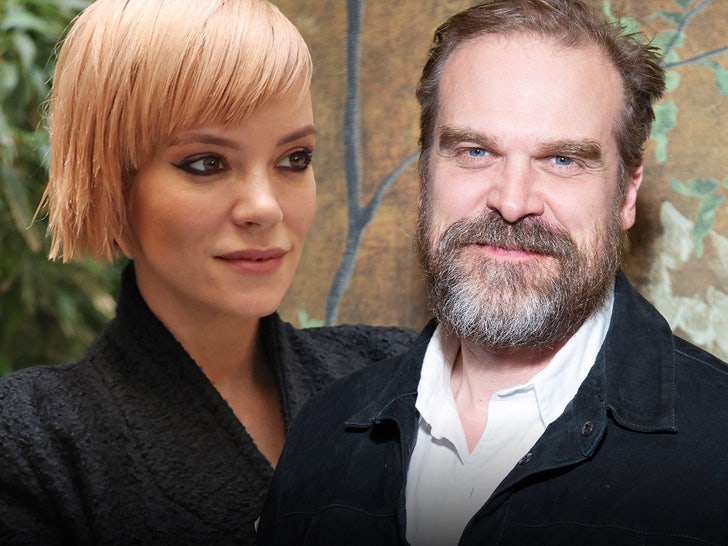 Lily Allen Says She Often Turns Down Husband David Harbour’s Sex Requests